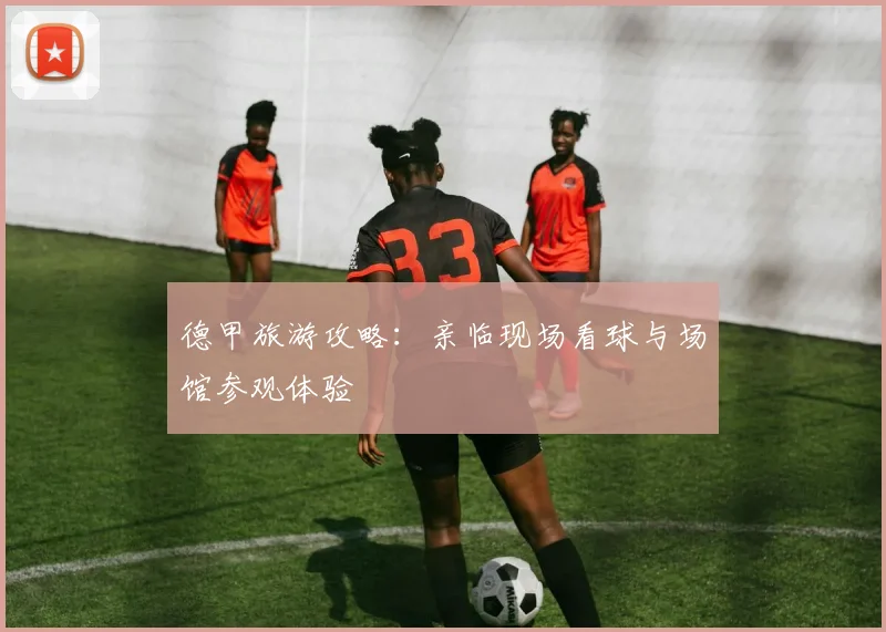 德甲旅游攻略:亲临现场看球与场馆参观体验
